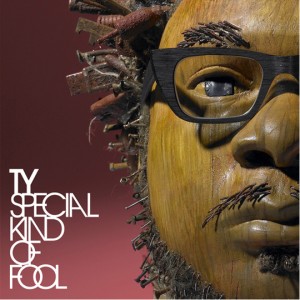 ty-special-kind-of-fool