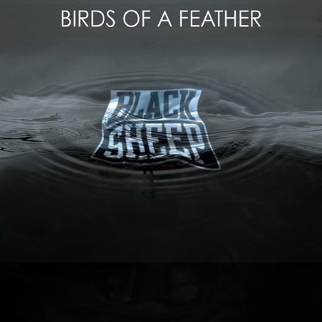 Black Sheep Feat. Q-Tip, Dave & Mike Gee – Birds Of A Feather