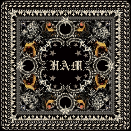 HAM-art-official
