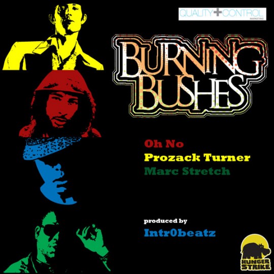 Burning-Bushes-digital-cover-for-web