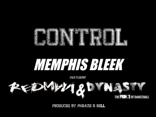 memphis-bleek-redman-dynasty-control