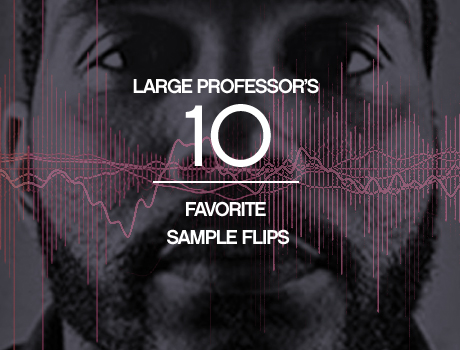 SampleFlips_LARGE_PROFESSOR