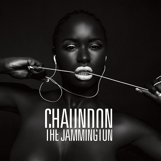 Chaundon Feat. Craig G & Skillz The DJ – Possession