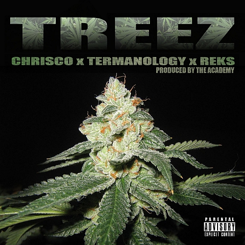 ChrisCo Feat. Termanology & REKS – Treez