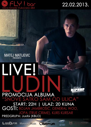ludin flyer