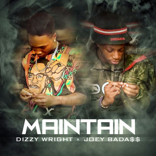 Dizzy_Joey-Maintain