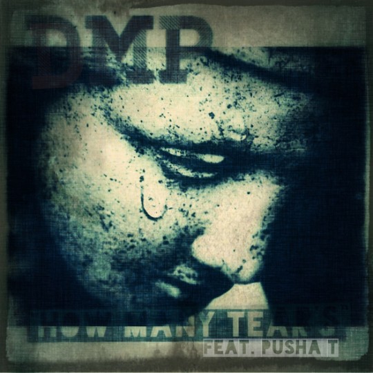 Dmp pusha
