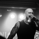 Blackout (39)