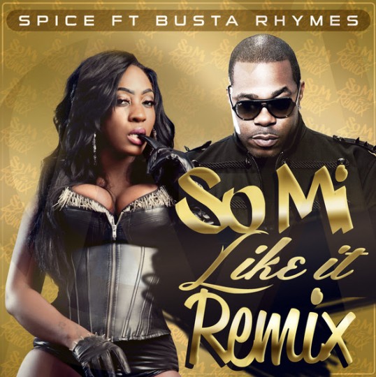 Spice ft. Busta Rhymes - So Mi Like It (Remix)