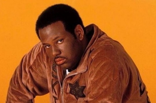 DJ-E-Z-ROCK-HIP-HOP-HALL-OF-FAME
