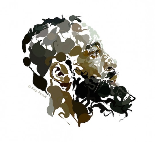 james harden filip peraic