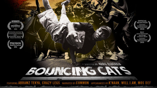 Bouncing Cats