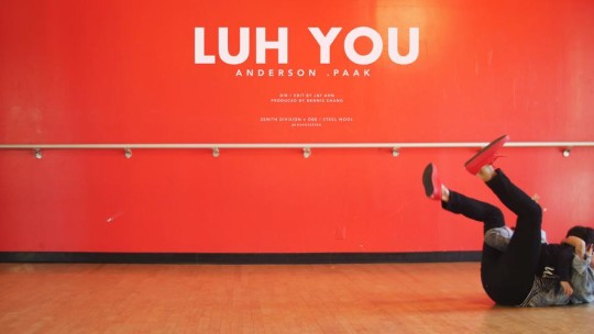 anderson paak luh you
