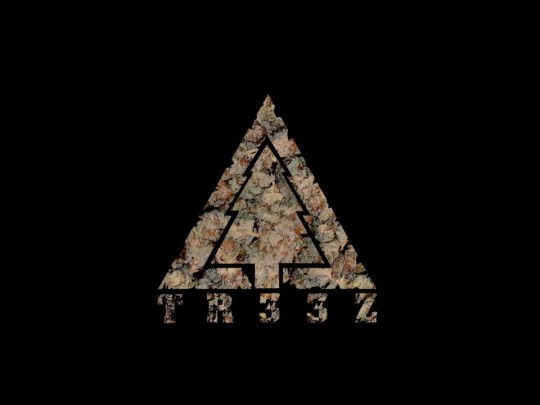 Top 10 TR33Z