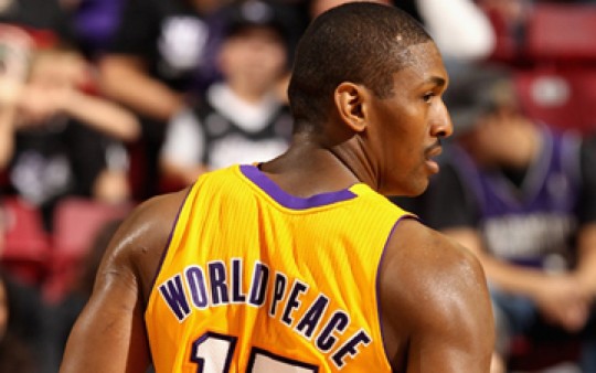 metta world