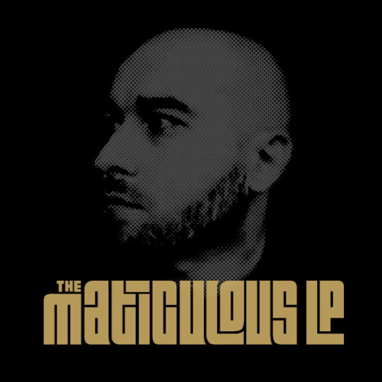 maticulous-LP
