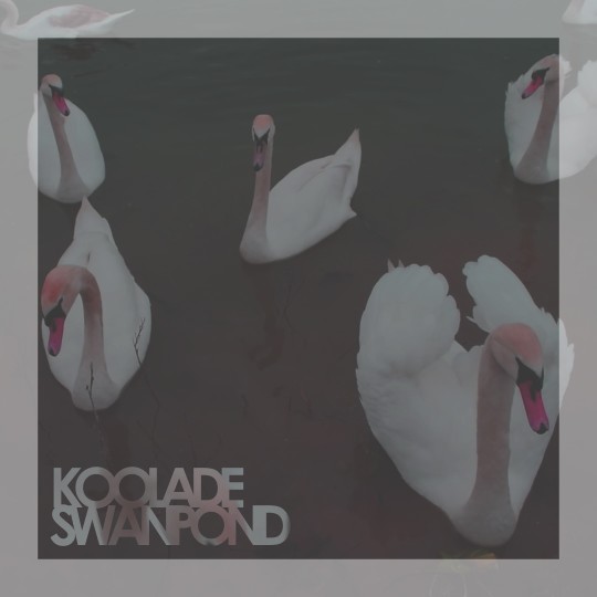 Swan-Pond2