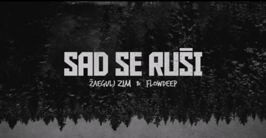 Žaegulj ZIM & Flowdeep - Sad se ruši
