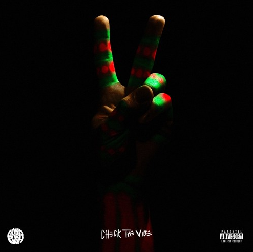 Audio Push - Check The Vibe