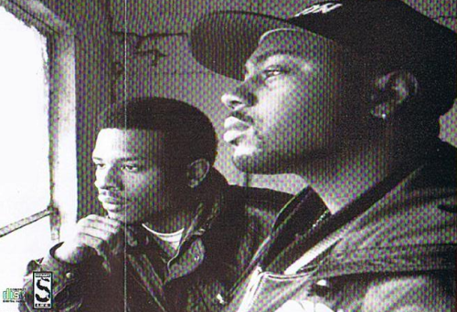 timbo-king-spark-950