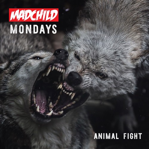 Madchild – Animal Fight