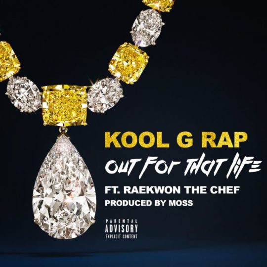 Kool G Rap ft. Raekwon - Out For That Life
