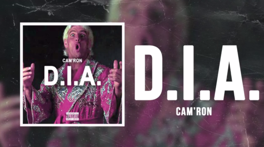 Cam’ron – D.I.A.