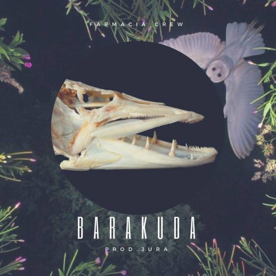 farmacia-barakuda