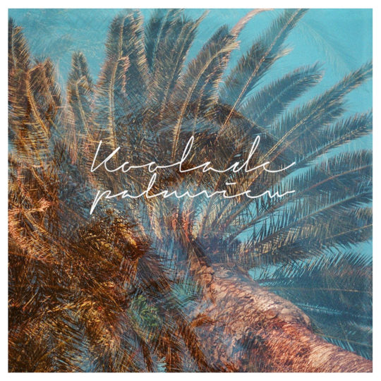 palm