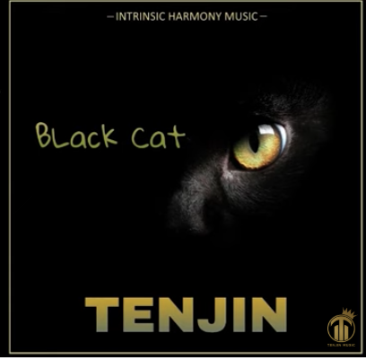 Tenjin – Black Cat
