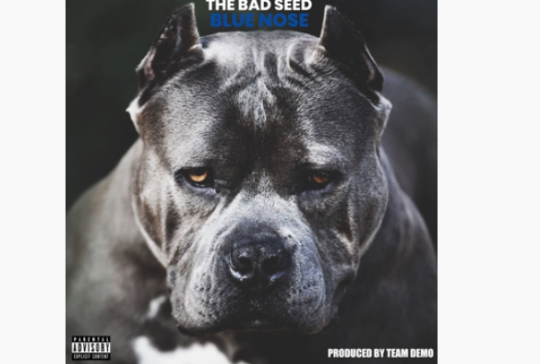 The Bad Seed – Blue Nose