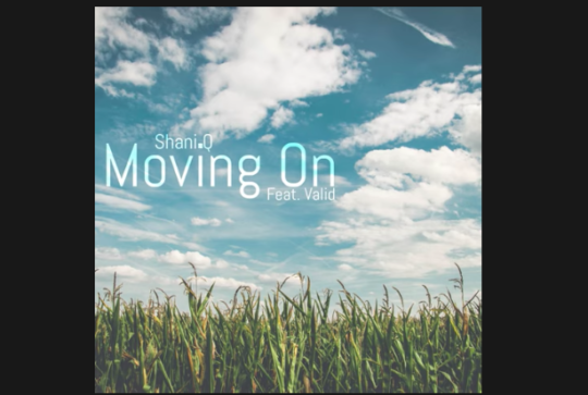Shani.Q ft. Valid – Moving On