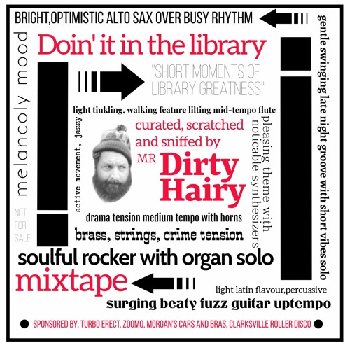 Dirty Hairy - DOIN IT IN THE LIBRARY MIXTAPE