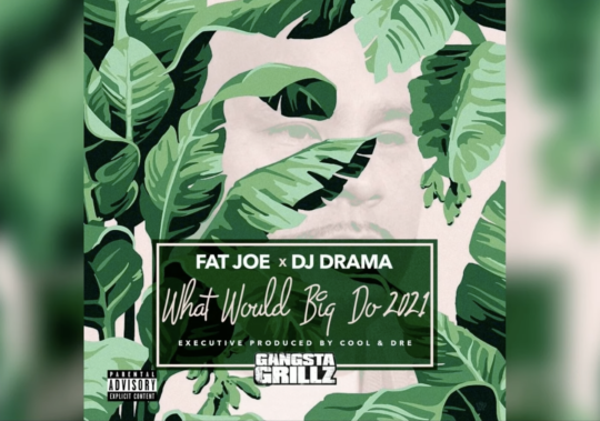 Fat Joe x DJ Drama ft. Cool & Dre & Sevyn Streeter – Babyface