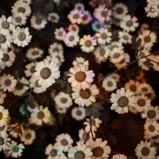 a0952030242_10