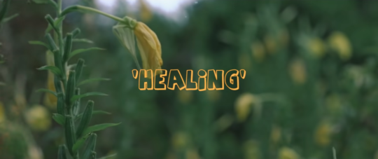 Verb T & Illinformed - Healing