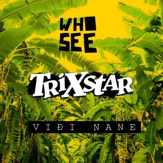 Who See x TriXstar - Viđe Nane