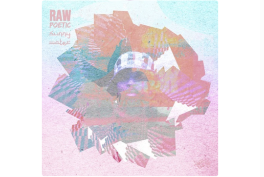 Video: Raw Poetic ft. Damu the Fudgemunk – Sunny Water