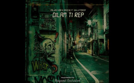 Prljavi Hari, Rikoche feat. BulletProof - Dilam Ti Rep