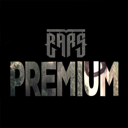 BARS - Premium artwork 2