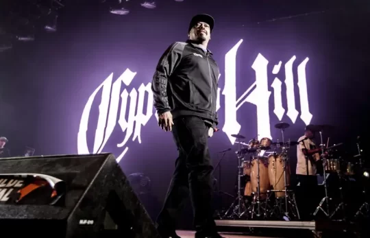 Video: Cypress Hill – Insane In The Brain Live 2022