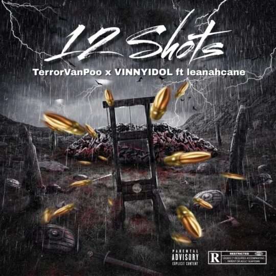 12shots