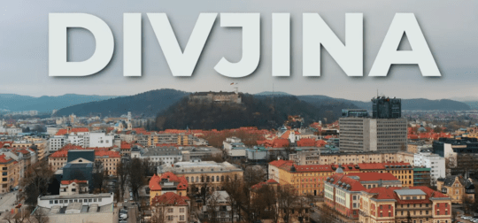 VorDa - Divjina