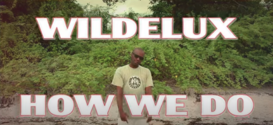 Video: Wildelux – How We Do