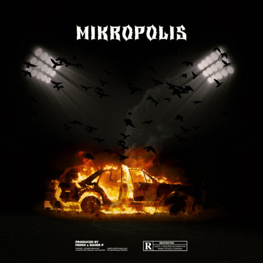 Kvaka22 - Mikropolis