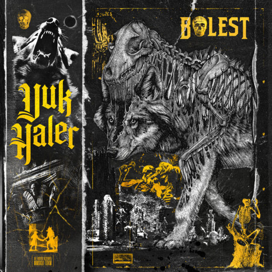 Bolest - Vuk Haler