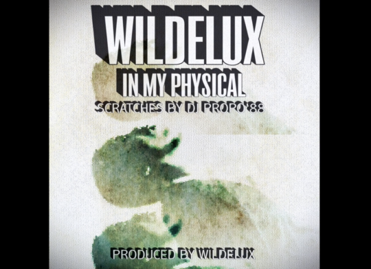 Wildelux – In My Physical