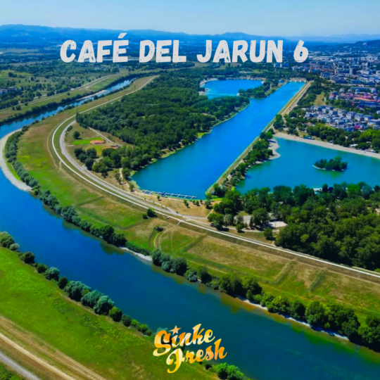 Sinke Fresh - Café del Jarun 6