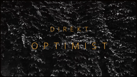 Direkt - Optimist