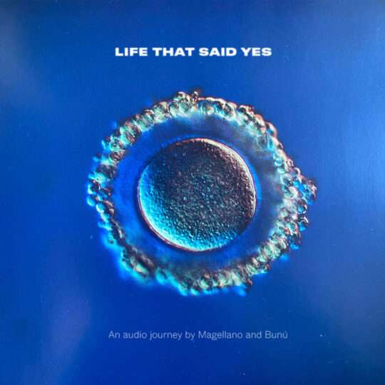 Magellano - Life That Said Yes